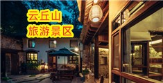 插入美女骚逼