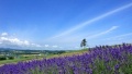 大胸美女操逼日本一地6日游  境外旅游 6880元/人